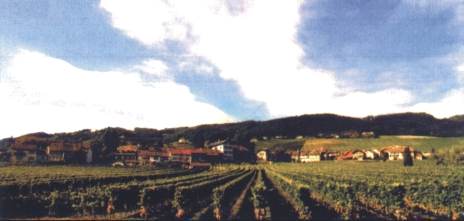 Vue de Mont-sur-Rolle